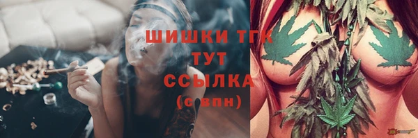 дмт Армянск