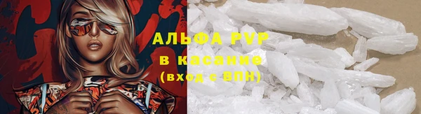 спайс Арсеньев