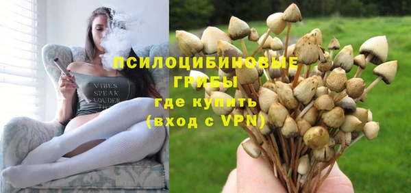 дмт Армянск