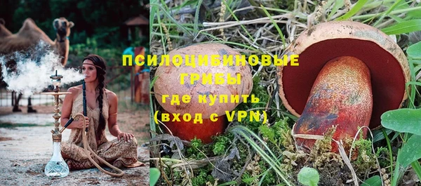 спайс Арсеньев