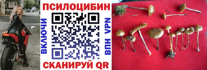 цены наркотик  Суоярви  Галлюциногенные грибы Magic Shrooms 
